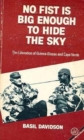 No Fist Is Big Enough to Hide the Sky : The Liberation of Guinea-Bissau and Cape Verde - Book