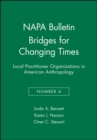 Bridges for Changing Times : Local Practitioner Organizations in American Anthropology - Book