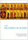 Meaning of Icons  The ^paperback] - Book