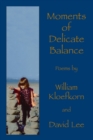 Moments of Delicate Balance - Book