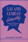 Gay and Lesbian Identity : A Sociological Analysis (Reynolds Series in Sociology) - Book