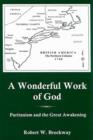 A Wonderful Work Of God : Puritanism and the Great Awakening - Book