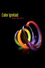 Color Ignited: Glass 1962-2012 - eBook