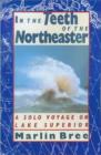 In the Teeth of the Northeaster : A Solo Voyage on Lake Superior - Book