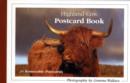 Highland Cow Postcard Book - Book