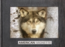 American Vignette - Book