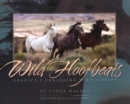Wild Hoofbeats : America's Vanishing Wild Horses - Book