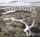 Tundra - eBook