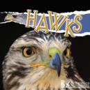Hawks - eBook