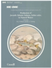 Production of Juvenile Atlantic Salmon, Salmo salar, in Natural Waters - eBook