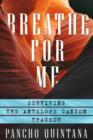 Breathe for Me : Surviving the Antelope Canyon Tragedy - Book