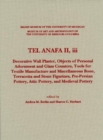 Tel Anafa II, iii : Decorative Wall Plaster, Objects of Personal Adornment and Glass Counters, Tools for Textile Manufacture and Miscellaneous Bone, Terracotta and Stone Figurines, Pre-Persian Pottery - Book