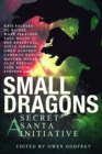 Small Dragons : A Secret Santa Initiative - eBook