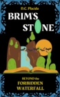 Brim's Stone : Beyond the Forbidden Waterfall - eBook