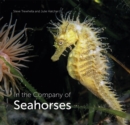 In the Company of Seahorses - Book