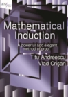 Mathematical Induction : A Powerful and Elegant Method of Proof - Book
