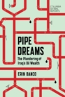 Pipe Dreams : The Plundering of Iraq’s Oil Wealth - Book