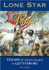 Lone Star Valor : Texans of the Blue & Gray at Gettysburg - eBook