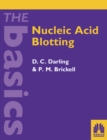 Nucleic Acid Blotting - eBook
