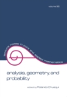 Analysis : Geometry, and Probability: Proceedings of the First Chilean Symposium of Mathematics - eBook