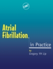 Atrial Fibrillation in Practice - eBook