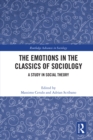 The Emotions in the Classics of Sociology : A Study in Social Theory - eBook