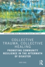 Collective Trauma, Collective Healing : Promoting Community Resilience in the Aftermath of Disaster - eBook