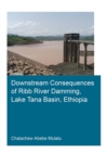 Downstream Consequences of Ribb River Damming, Lake Tana Basin, Ethiopia - eBook