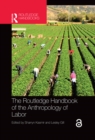 The Routledge Handbook of the Anthropology of Labor - eBook