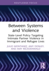 Between Systems and Violence : State-Level Policy Targeting Intimate Partner Violence in Immigrant and Refugee Lives - eBook