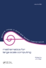 Mathematics for Large Scale Computing - eBook