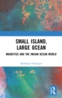 Small Island, Large Ocean : Mauritius and the Indian Ocean World - eBook