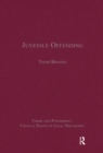 Juvenile Offending - eBook