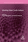 Working Class Youth Culture - eBook