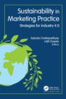 Sustainability in Marketing Practice : Strategies for Industry 4.0 - eBook