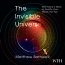 The Invisible Universe - Book