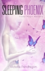 Sleeping Phoenix - eBook
