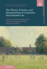 The Theory, Practice, and Interpretation of Customary International Law - eBook