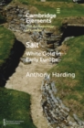 Salt : White Gold in Early Europe - eBook