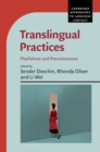 Translingual Practices : Playfulness and Precariousness - eBook