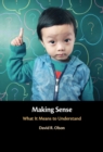 Making Sense : What It Means to Understand - eBook