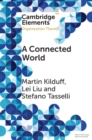A Connected World : Social Networks and Organizations - eBook