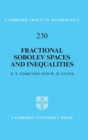 Fractional Sobolev Spaces and Inequalities - Book