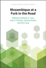 Mozambique at a Fork in the Road : The Institutional Diagnostic Project - eBook