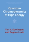 Quantum Chromodynamics at High Energy - Book