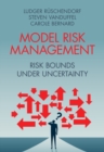 Model Risk Management : Risk Bounds under Uncertainty - eBook