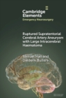 Ruptured Supratentorial Cerebral Artery Aneurysm with Large Intracerebral Haematoma - Book