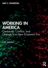 Working in America : Continuity, Conflict, and Change in a New Economic Era - Book
