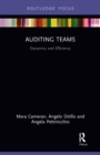 Auditing Teams : Dynamics and Efficiency - Book