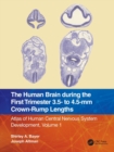 The Human Brain during the First Trimester 3.5- to 4.5-mm Crown-Rump Lengths : Atlas of Human Central Nervous System Development, Volume 1 - Book